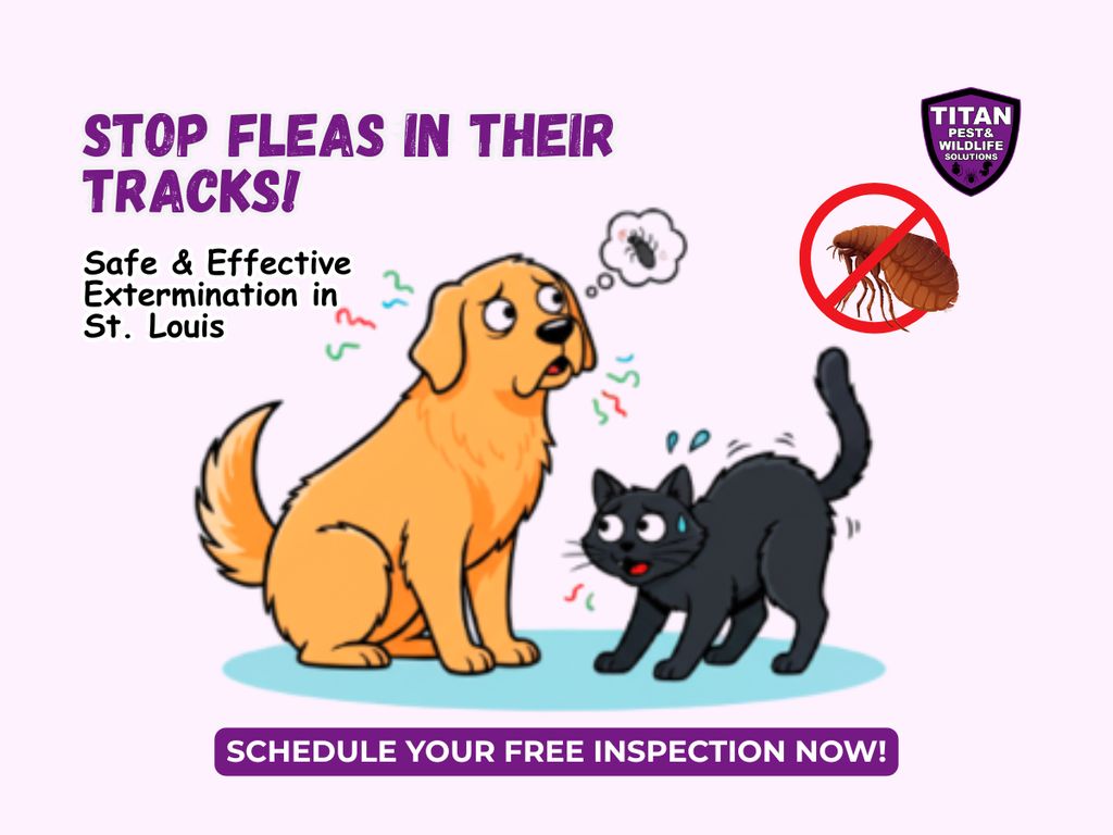 Flea Exterminator 
