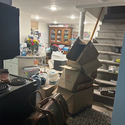 Avatar for Old man handyman services and waste removal