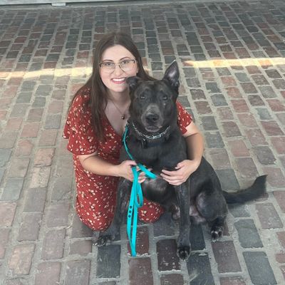 Avatar for Kismet Canine Training