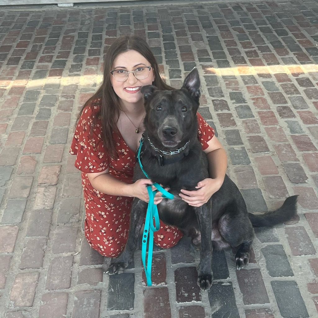 Kismet Canine Training