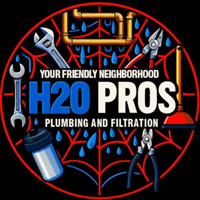 Avatar for Your Friendly Neighborhood H2O Pros
