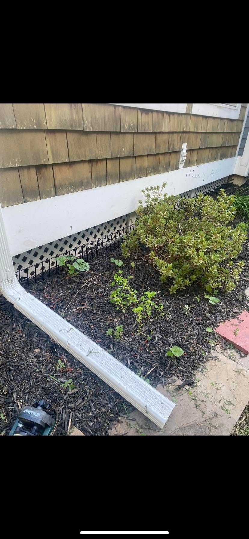 Rodent Barriers 