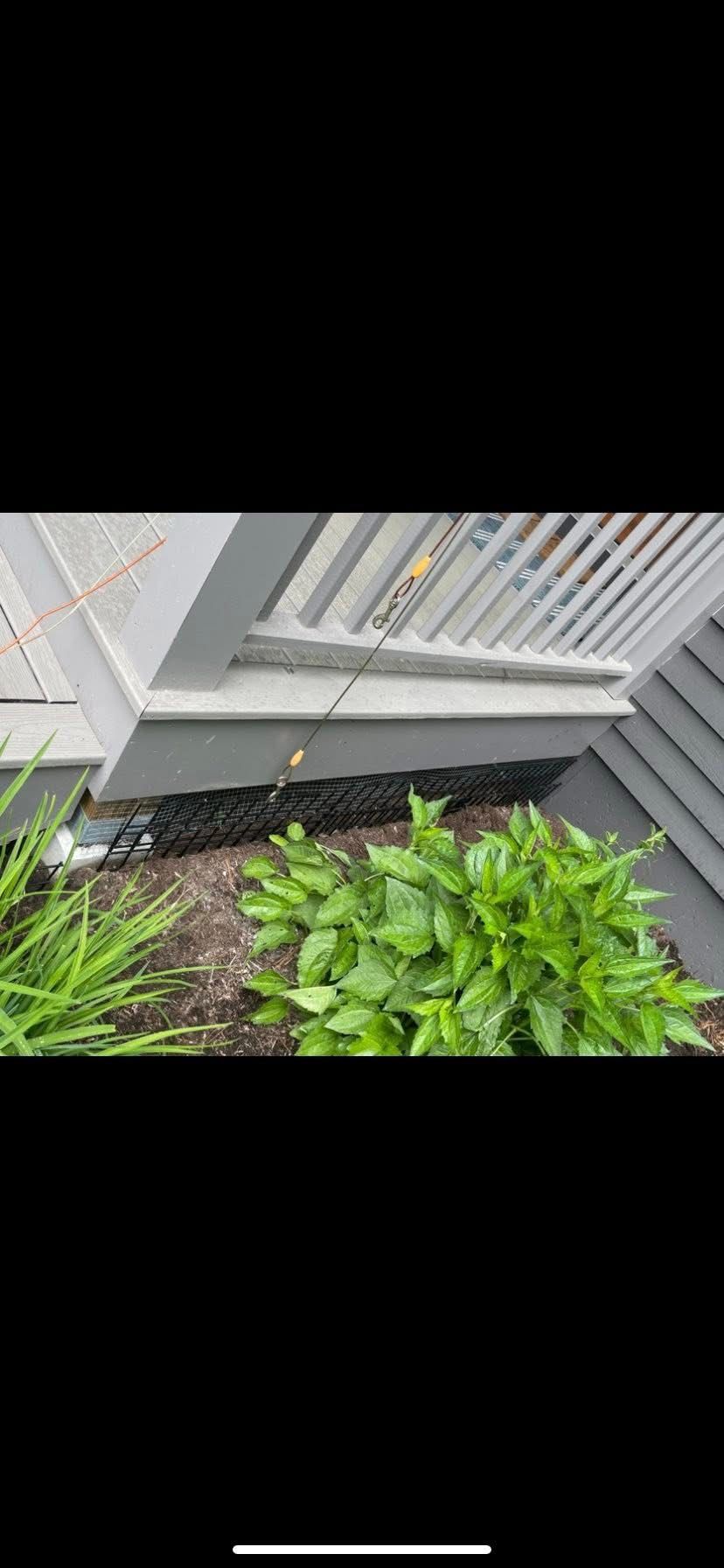 Rodent Barriers 