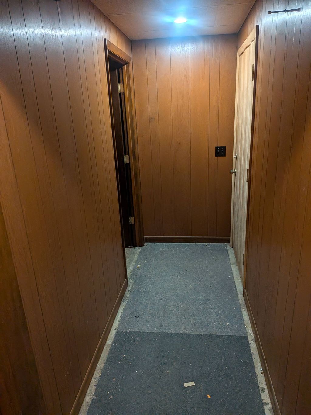 Basement with wood paneling (before)