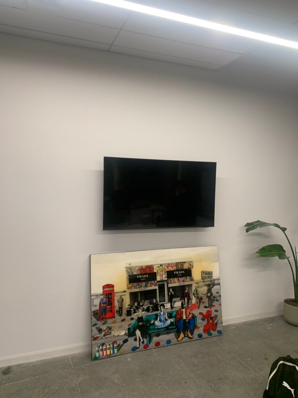 Projects and media