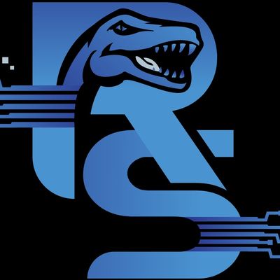 Avatar for Raptor IT Solutions