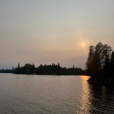 Avatar for TrueNorth Cleanology, LLC