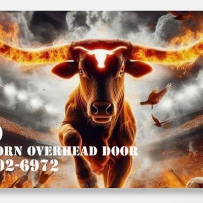 Avatar for Longhorn Overhead Door