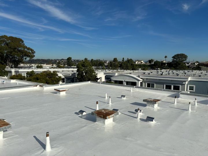 Single Ply TPO Roof