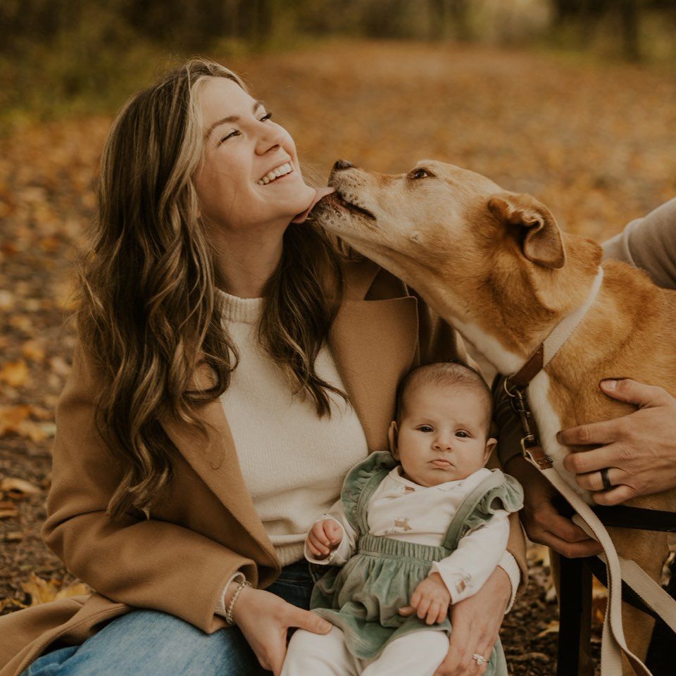 Rolain Construction & Consulting