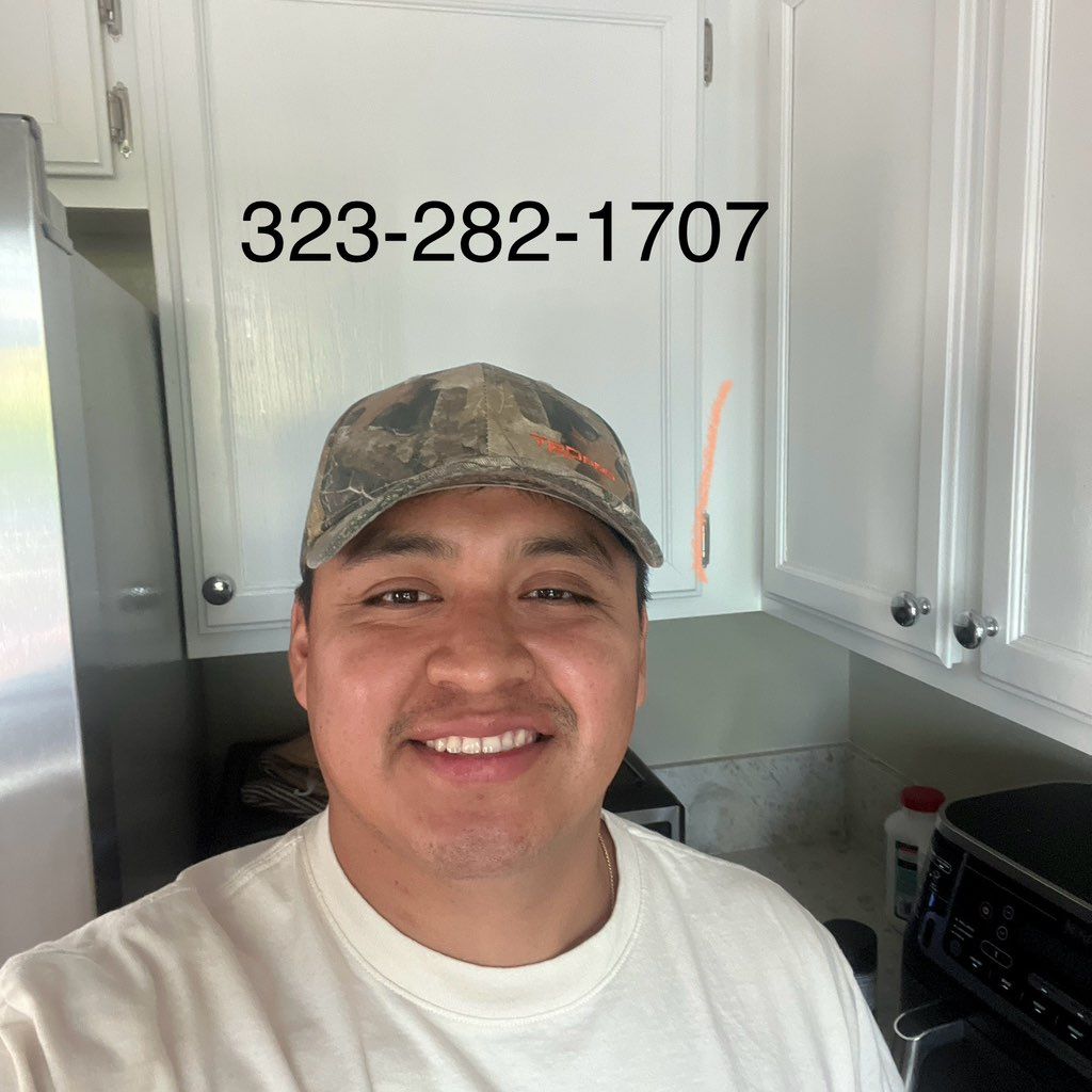 Pro painting services