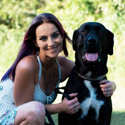 Avatar for Helping Paws Dog Training