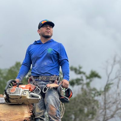 Avatar for López Tree Service