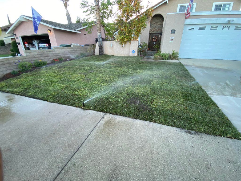 New St. Agustin sod & spinklers 