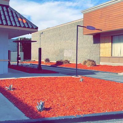 Avatar for Cali pacific lawn care