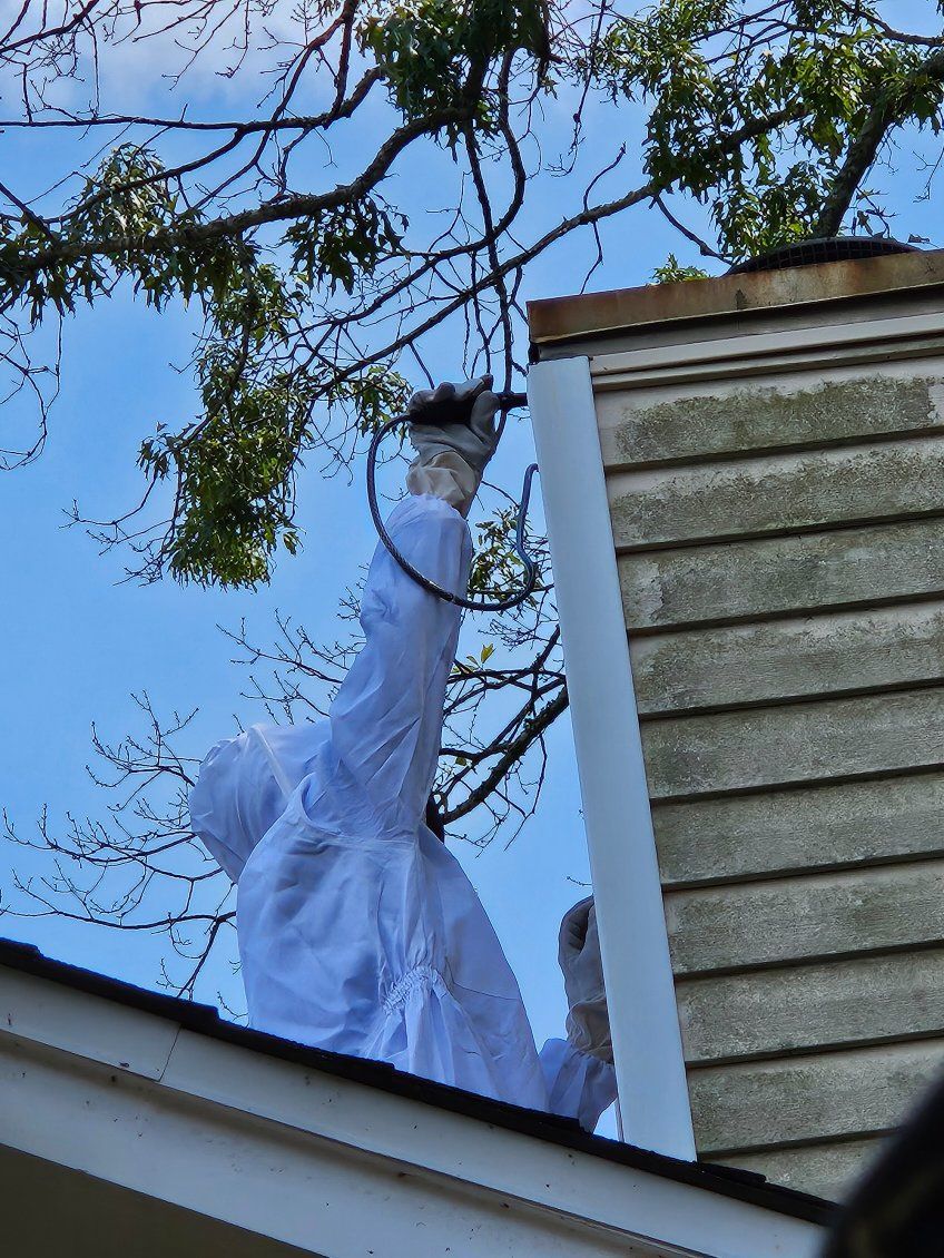 Treating a Chimney infested with wasp!