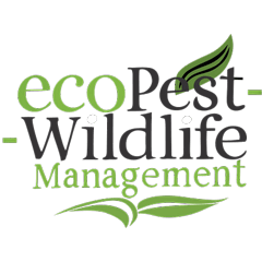 Avatar for EcoPest Wildlife Management