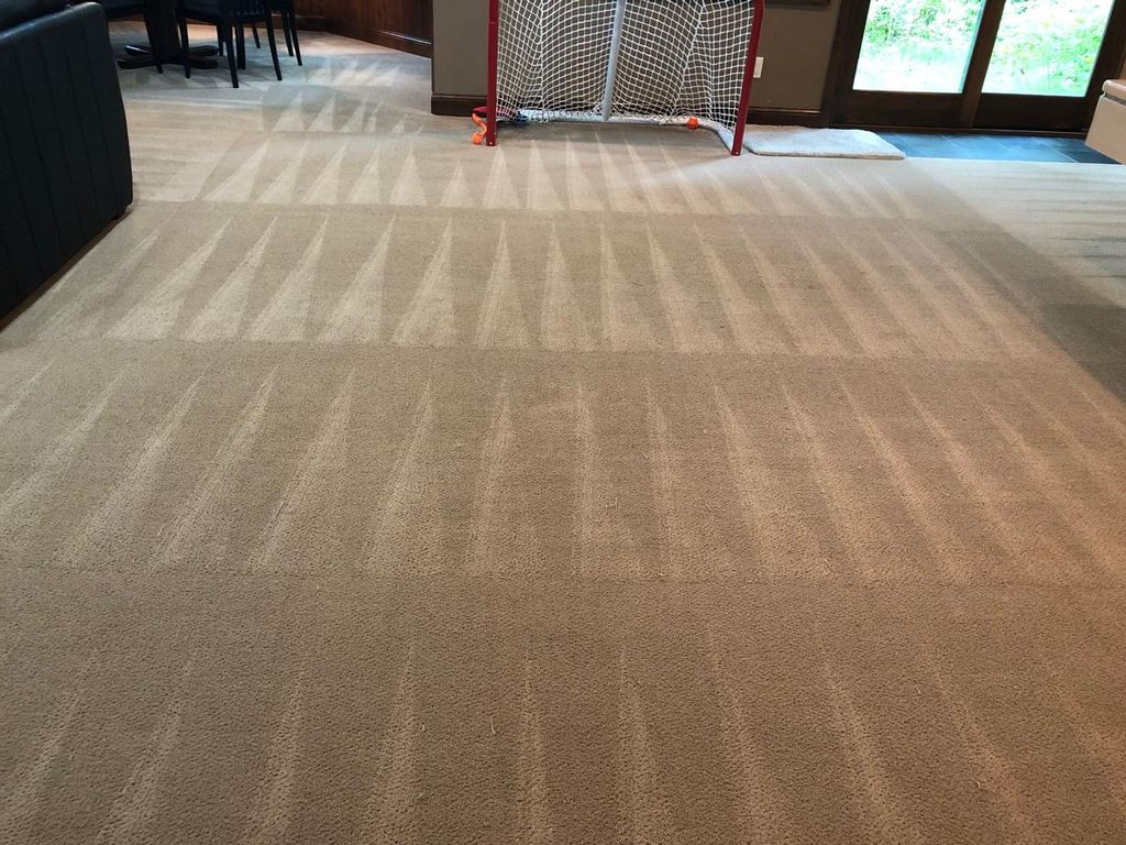 Home Cleaning - Carpet and Area Rug Cleaning