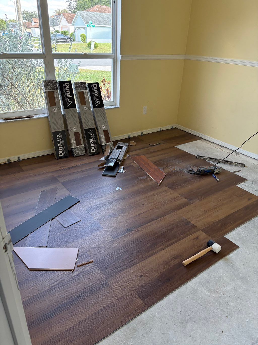 Projects and media
