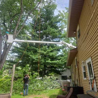 Avatar for Pro Contractors Tree Removal & Handyman