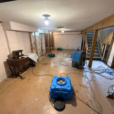 Avatar for Michigan Mitigation