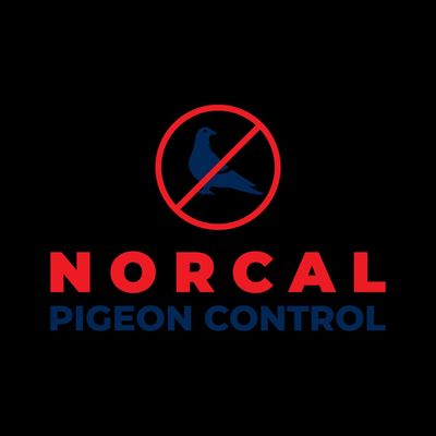 Avatar for NorCal Pigeon Control