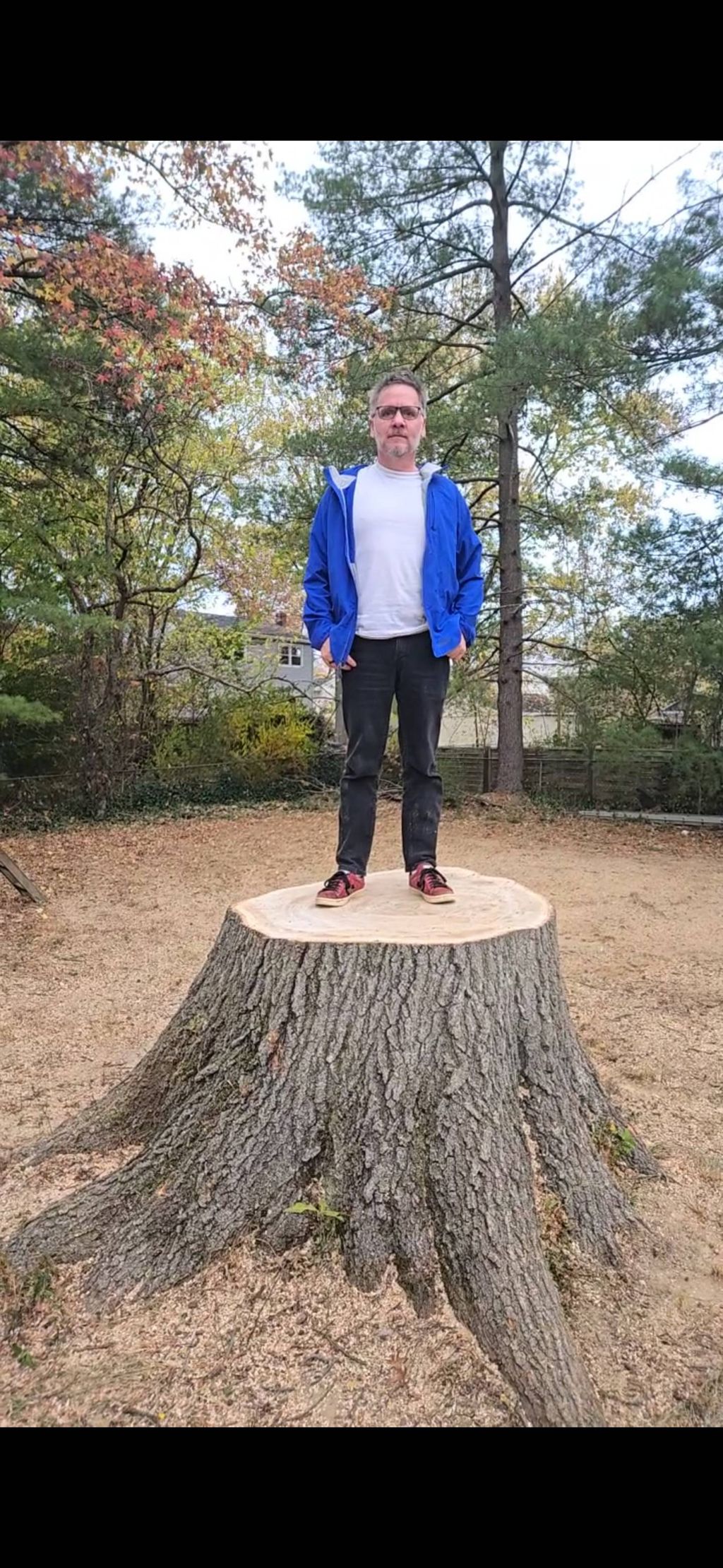 This is Victor of the stump.  We removed his 80 ft
