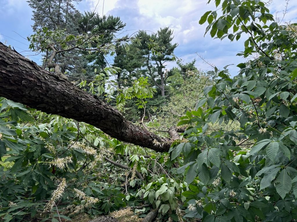 storm damage