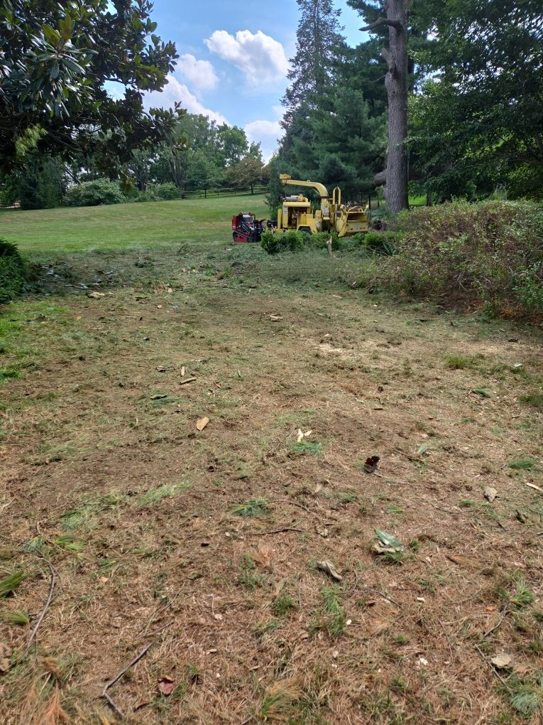 storm damage cleaned up