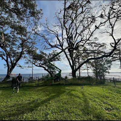 Avatar for Trifecta Outdoor Services