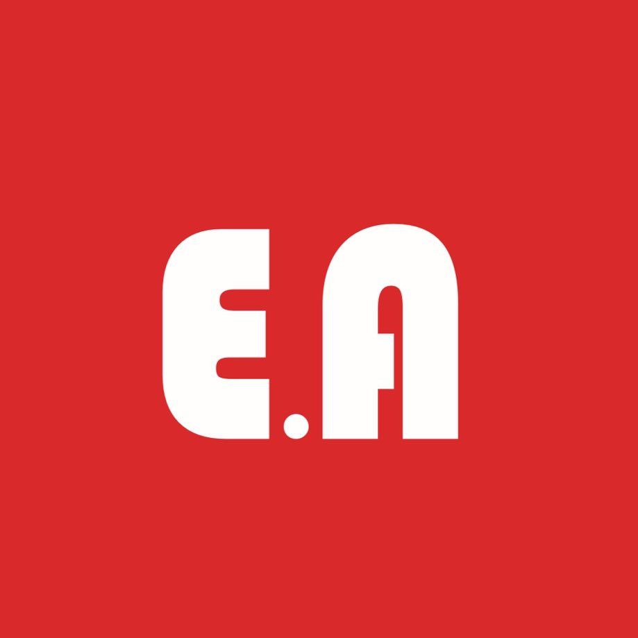 EA Pro Painters
