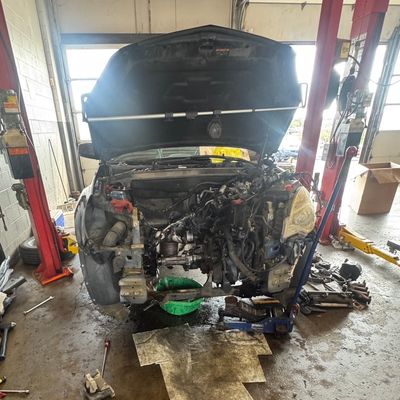 Avatar for Taylor The Mechanic