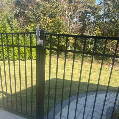 Avatar for The Alphas Lawn Care