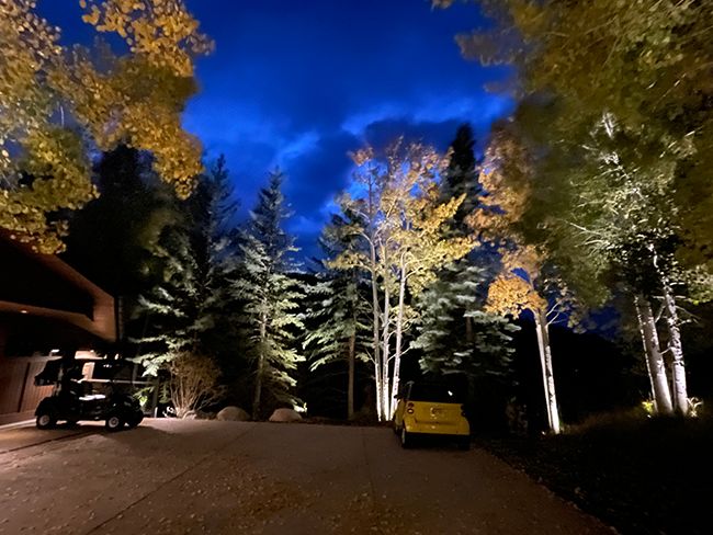 I also do Landscape Lighting