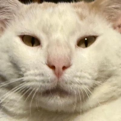 Avatar for Lethal plumbing repair