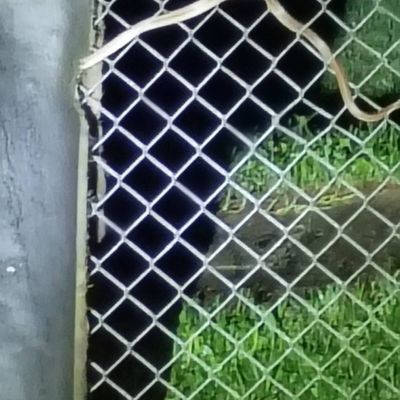 Avatar for Bill Tripp