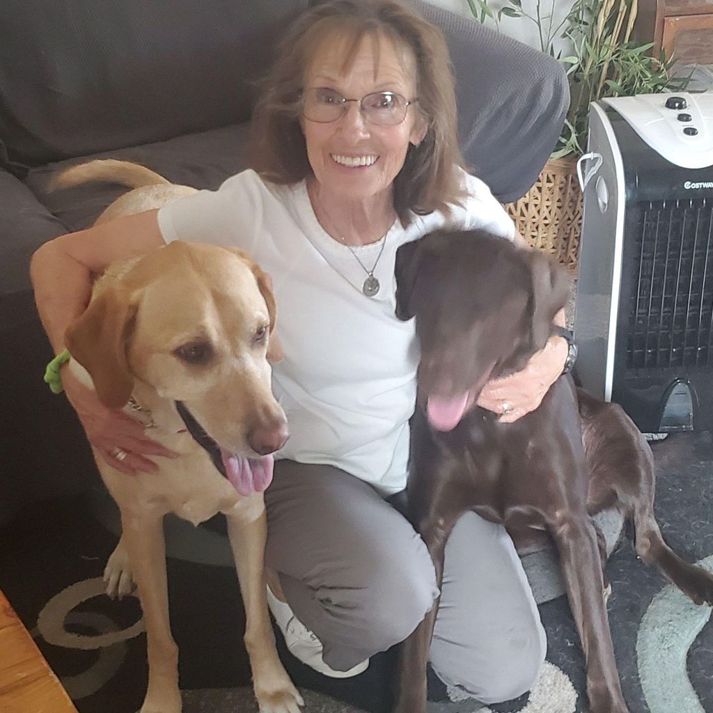 Best Friends Dogs, Training and Behavior