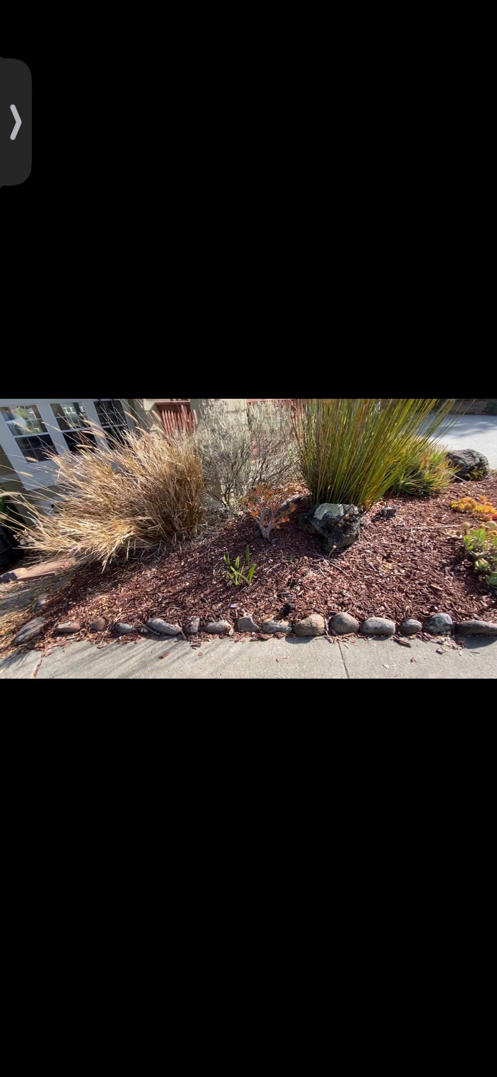 Before new mulch/ cleaning up the all 