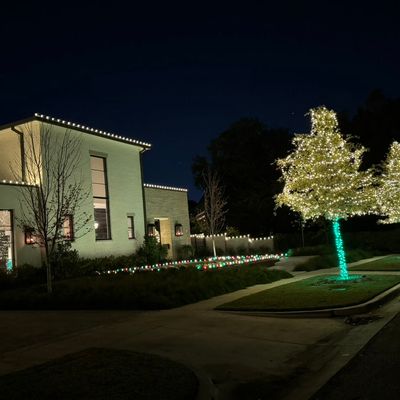 Avatar for Miguel's Lawncare And Tree Trimming