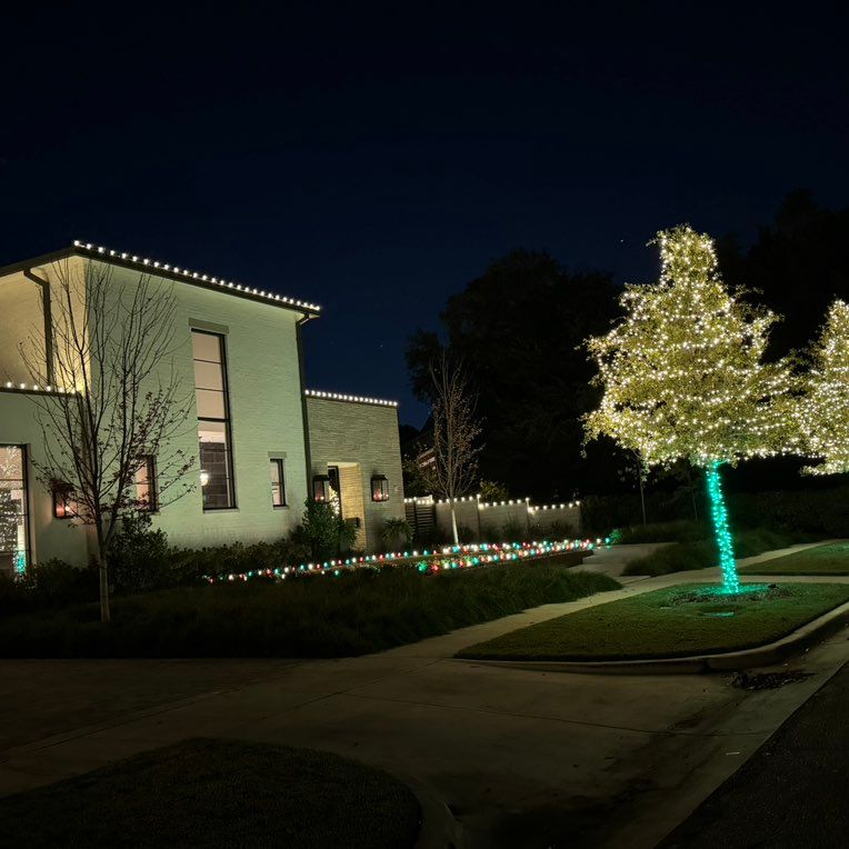 Miguel's Lawncare And Tree Trimming