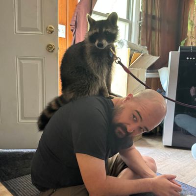 Avatar for Austin Whidby