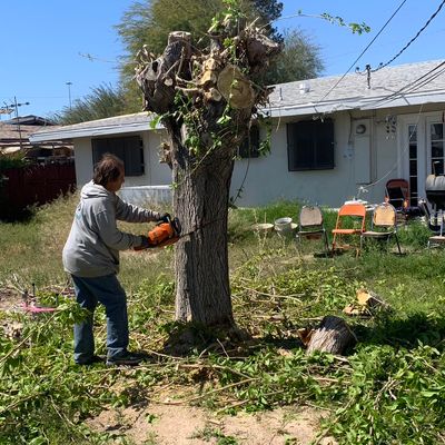 Avatar for Jefferson's Tree Service & Maintanance