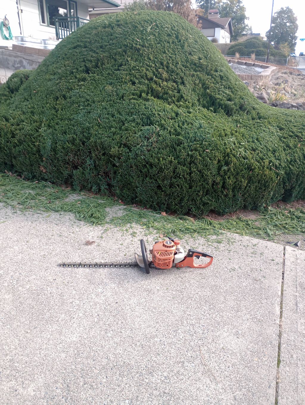 didn't get a before photo