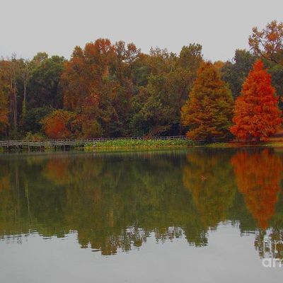 Avatar for Afghan Aura Cleaning Pro.