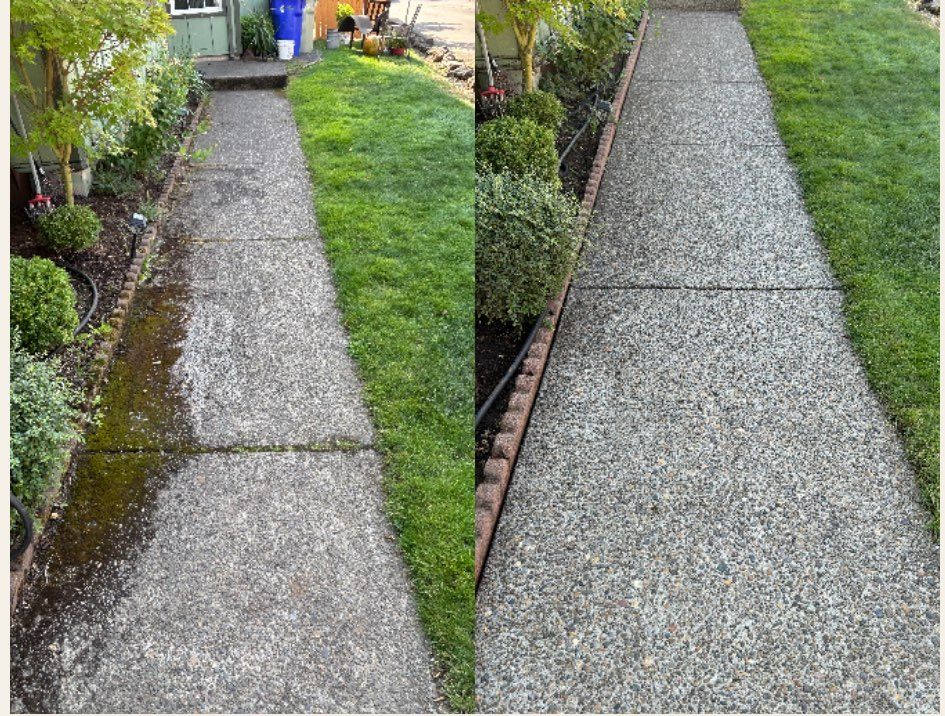 Walk way moss removal.