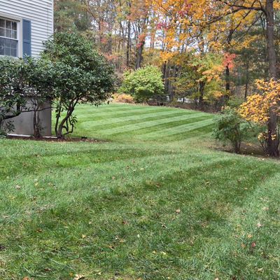 Avatar for Green care landscaping