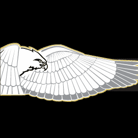 Avatar for Falcon Roofing