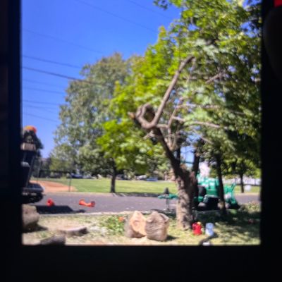 Avatar for Duo tree service