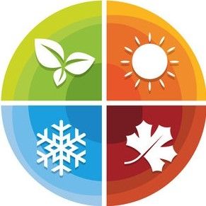 Avatar for All Year Pro