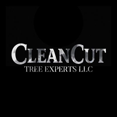 Avatar for Clean Cut Tree Experts